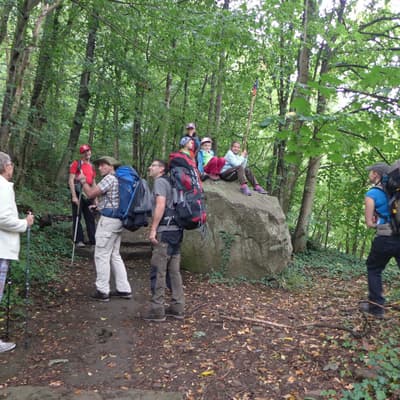 Westweg 2019 – Bild 7