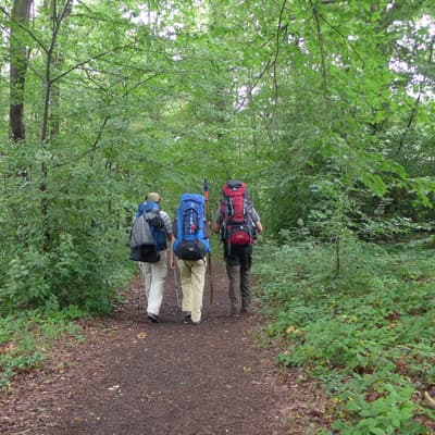 Westweg 2019 – Bild 8