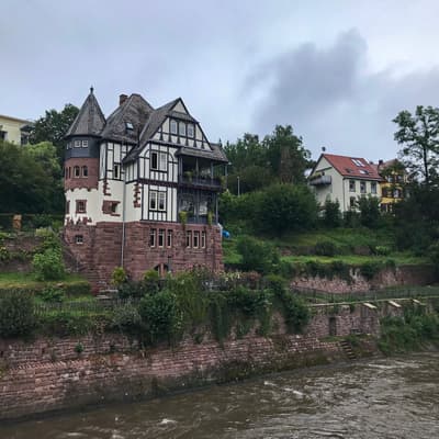 Westweg 2019 – Bild 10