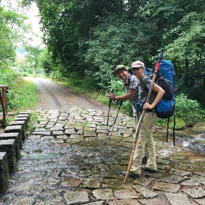Westweg 2019 – Bild 11