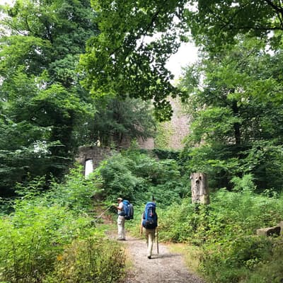 Westweg 2019 – Bild 13