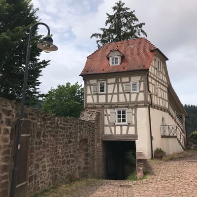 Westweg 2019 – Bild 15
