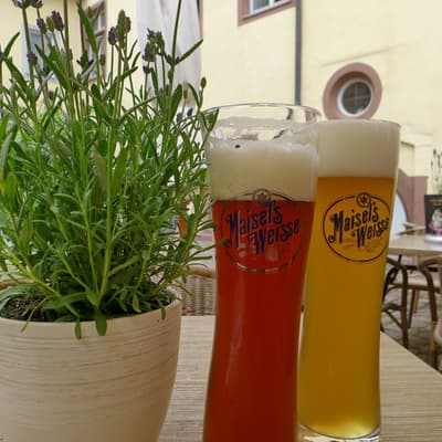 Westweg 2019 – Bild 16