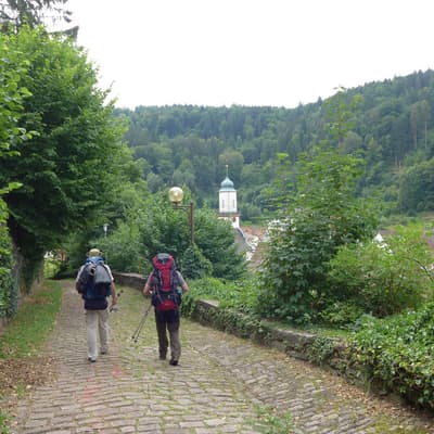 Westweg 2019 – Bild 17