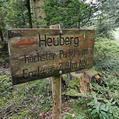 Westweg 2019 – Bild 20