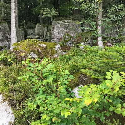 Westweg 2019 – Bild 21
