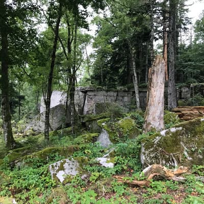 Westweg 2019 – Bild 22