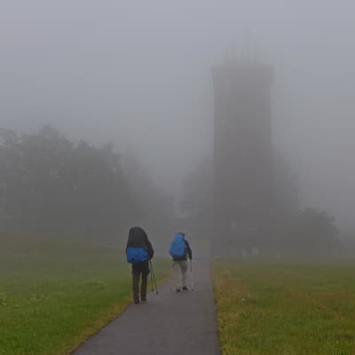 Westweg 2019 – Bild 26