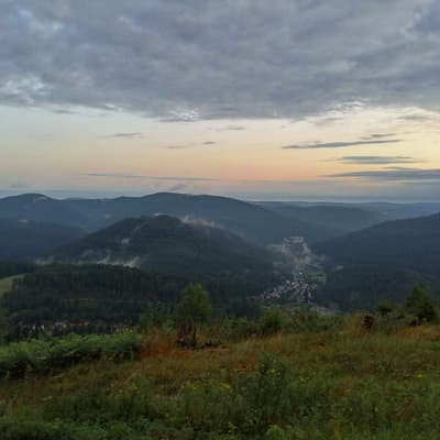 Westweg 2019 – Bild 31