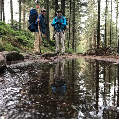 Westweg 2019 – Bild 37