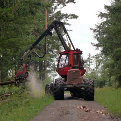 Westweg 2019 – Bild 38