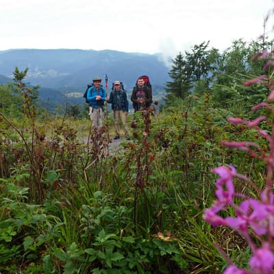 Westweg 2019 – Bild 40