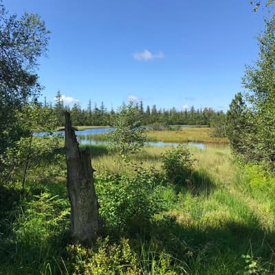 Westweg 2019 – Bild 47