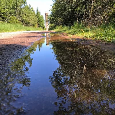 Westweg 2019 – Bild 50