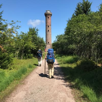 Westweg 2019 – Bild 51