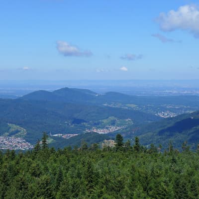 Westweg 2019 – Bild 53