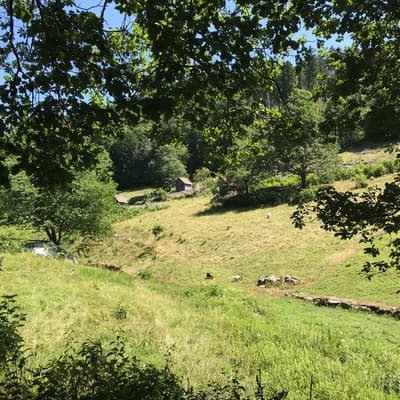 Westweg 2019 – Bild 60