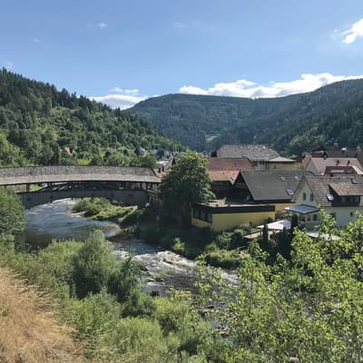 Westweg 2019 – Bild 64