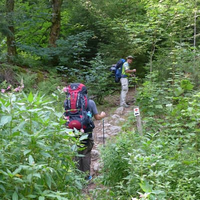 Westweg 2019 – Bild 66