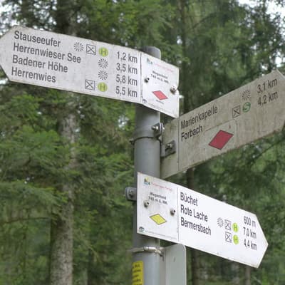 Westweg 2019 – Bild 74
