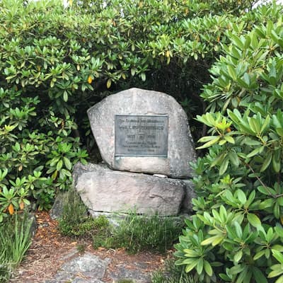 Westweg 2019 – Bild 78
