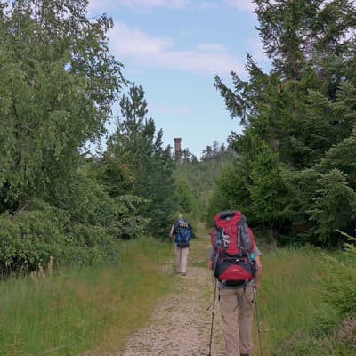 Westweg 2019 – Bild 80