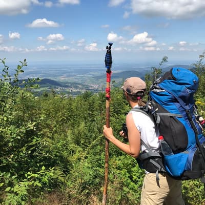 Westweg 2019 – Bild 95