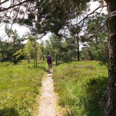 Westweg 2019 – Bild 96