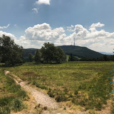 Westweg 2019 – Bild 97