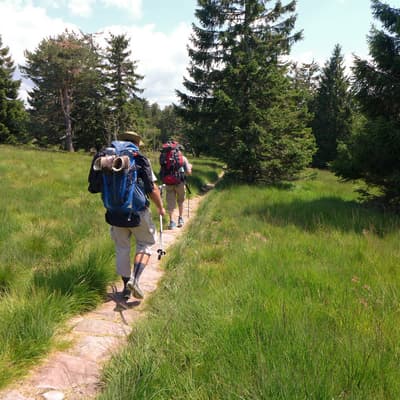 Westweg 2019 – Bild 98