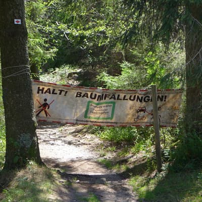 Westweg 2019 – Bild 99