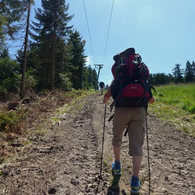 Westweg 2019 – Bild 100