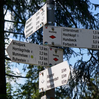 Westweg 2019 – Bild 101