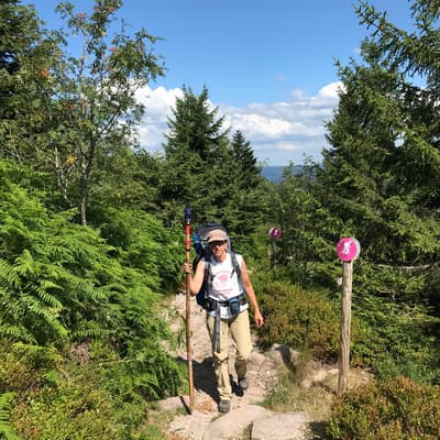 Westweg 2019 – Bild 103