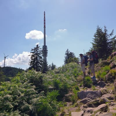 Westweg 2019 – Bild 104