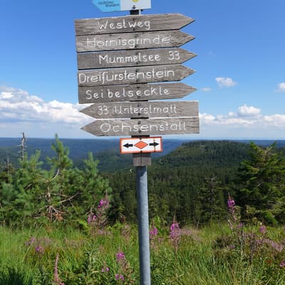 Westweg 2019 – Bild 105