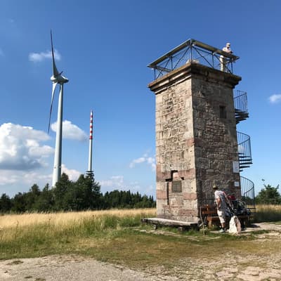 Westweg 2019 – Bild 112