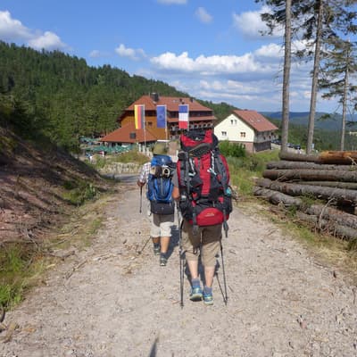 Westweg 2019 – Bild 116