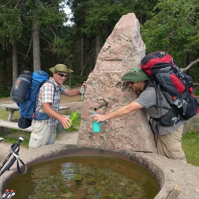 Westweg 2019 – Bild 117