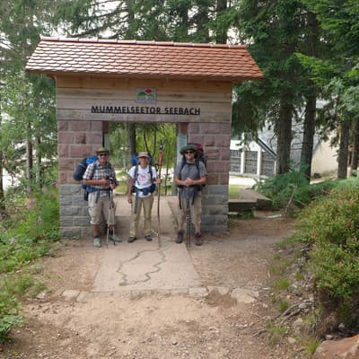 Westweg 2019 – Bild 118