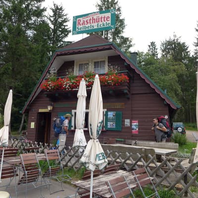 Westweg 2019 – Bild 120