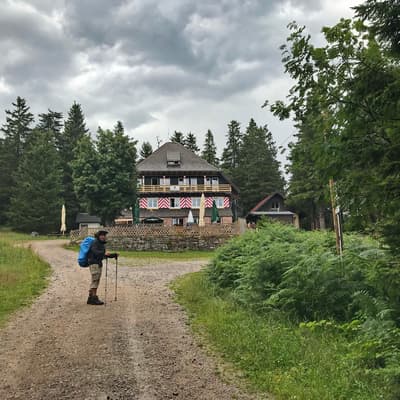 Westweg 2019 – Bild 123