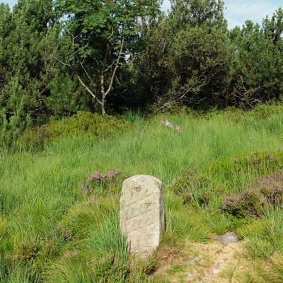 Westweg 2019 – Bild 129