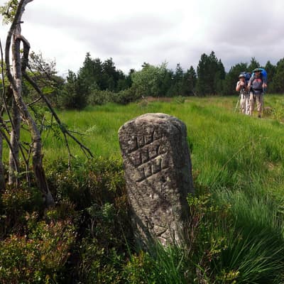 Westweg 2019 – Bild 137