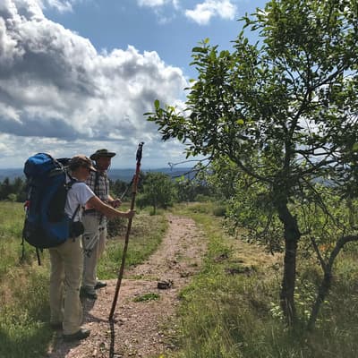 Westweg 2019 – Bild 139