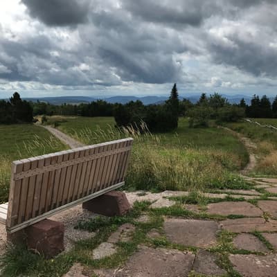 Westweg 2019 – Bild 142