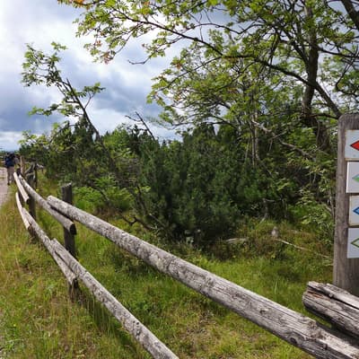Westweg 2019 – Bild 143