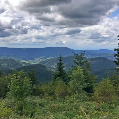 Westweg 2019 – Bild 147
