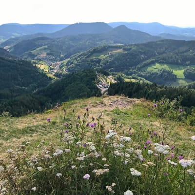 Westweg 2019 – Bild 154