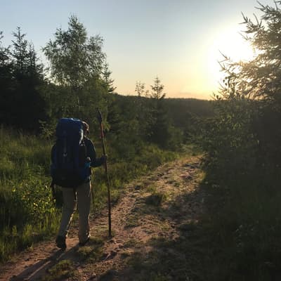 Westweg 2019 – Bild 159